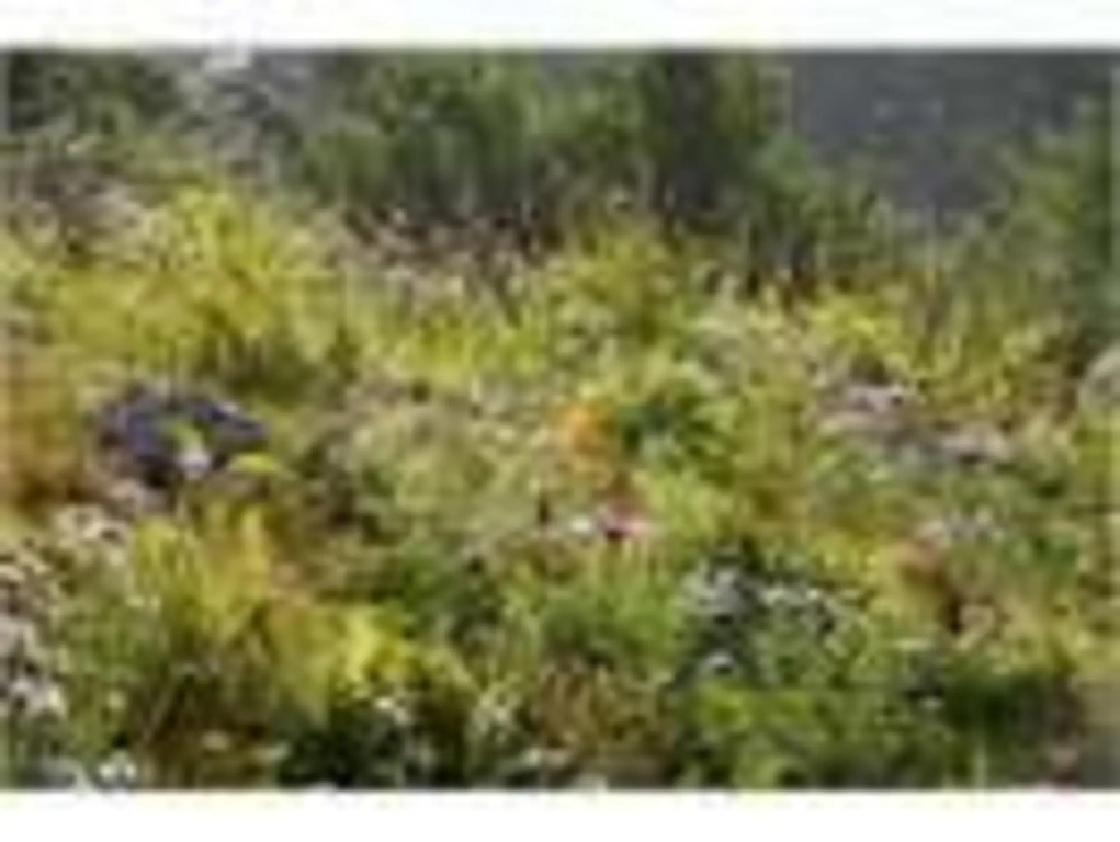 Utsukushigahara Kogen Hotel Yamamoto Goya in Ueda, Japan