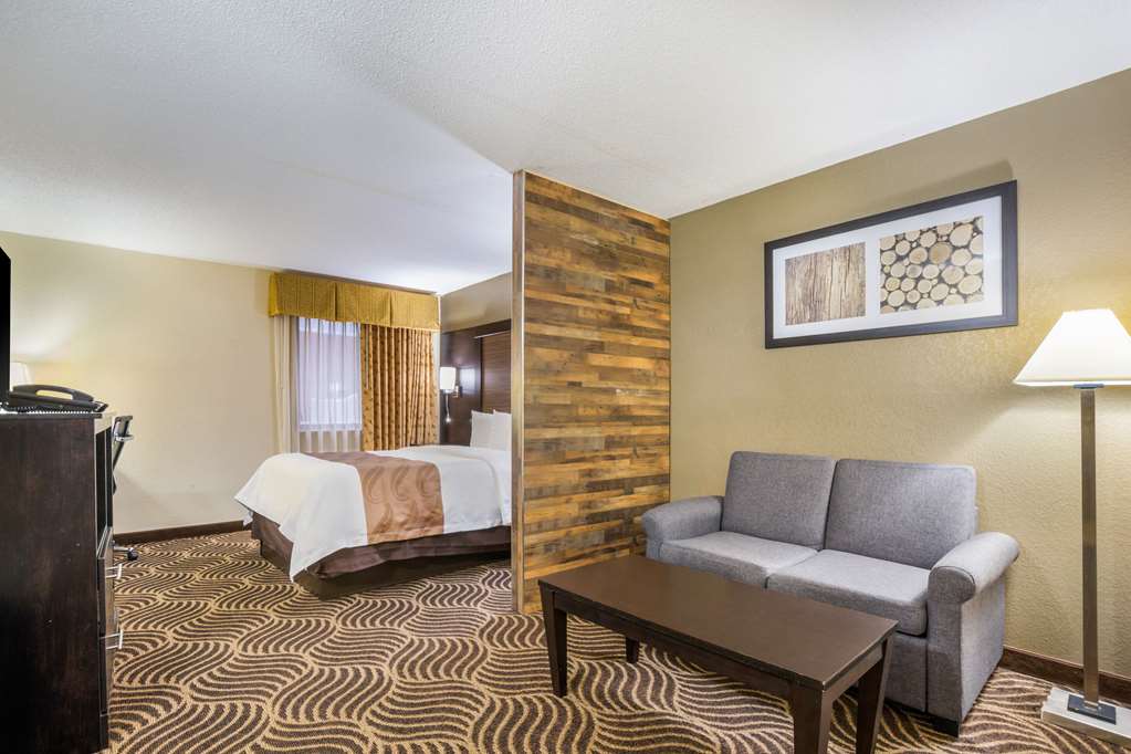 Quality Inn & Suites Florence Cincinnati South - photo 30