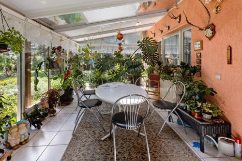 Ferienwohnung im Burgenland — 4-Star Luxury Hotel in Freyburg, Germany