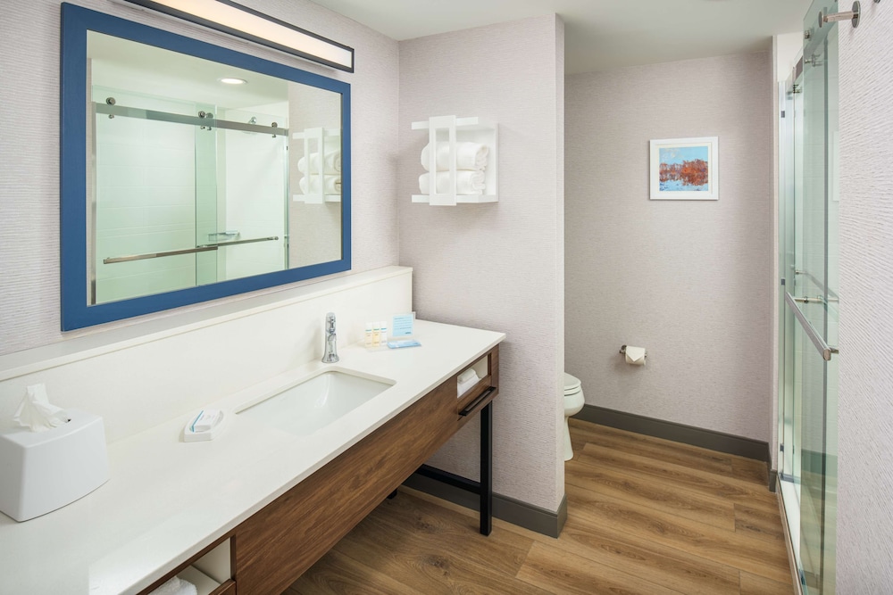 Hampton Inn Blue Ridge - photo 29