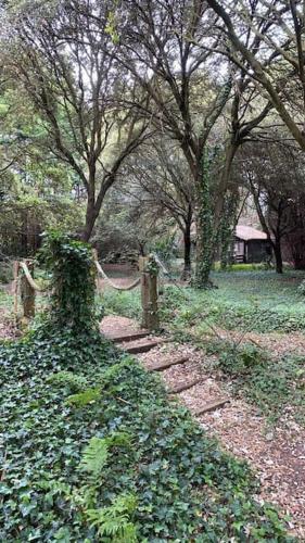 Cabana De Ensueno En El Bosque Y Junto Al Mar — Miengo