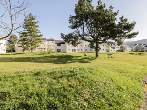 Redwood — Harlech — photo 3