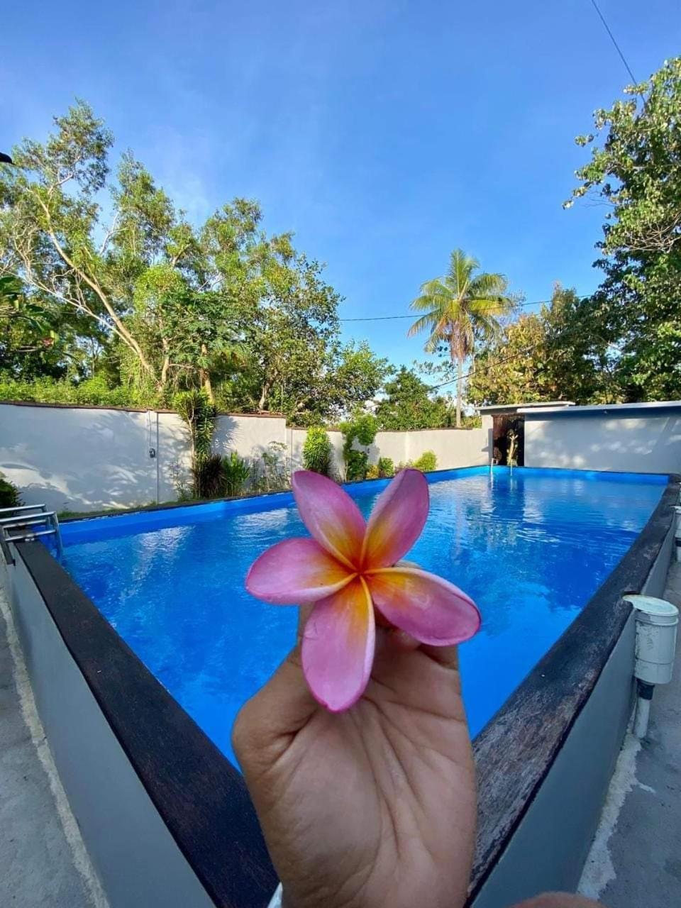 Npdc Comfy Hotel — Bali — photo 3