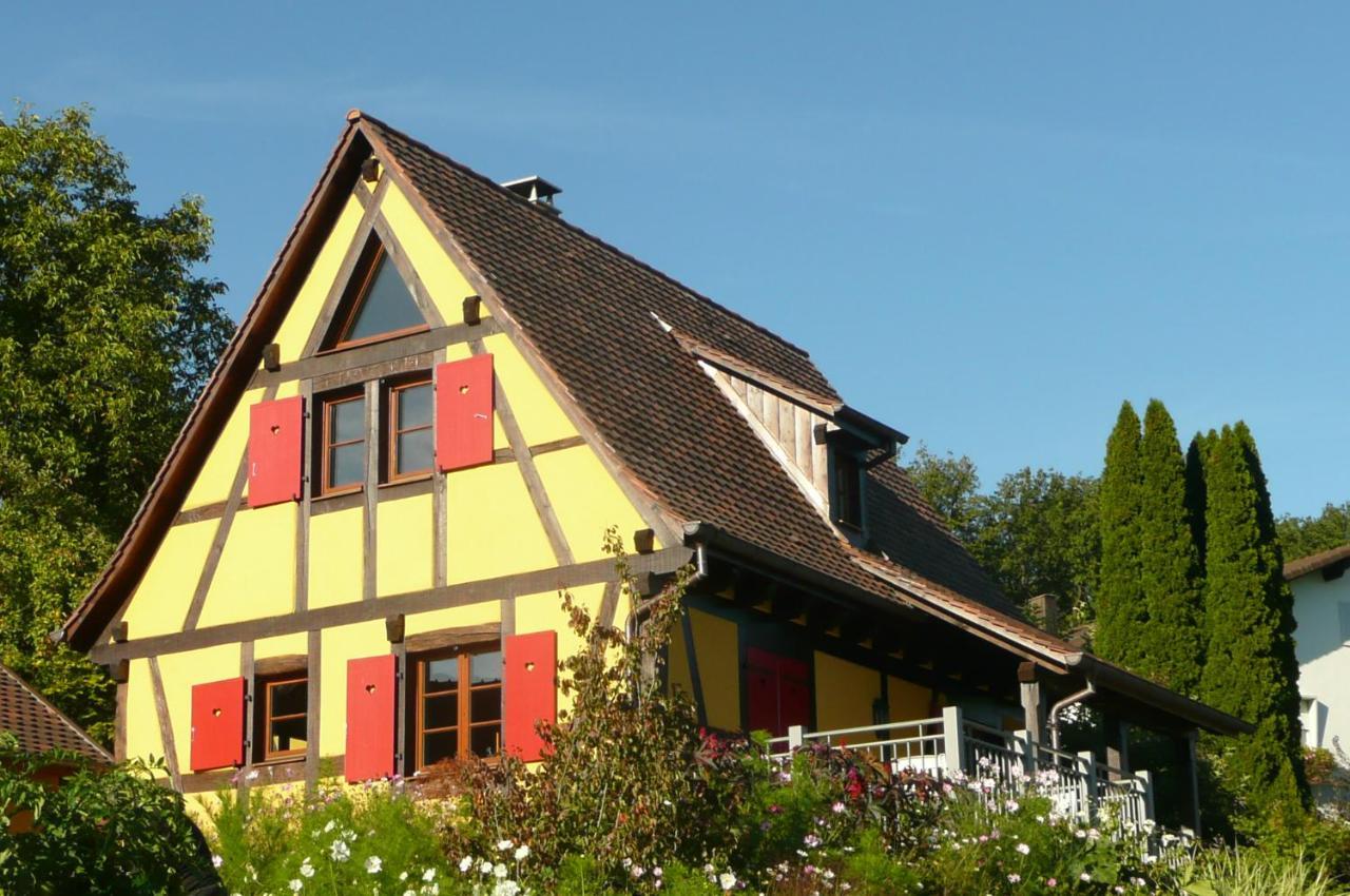 La Pomme De Pin — Colmar