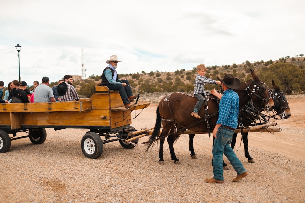 Iron Springs Adventure Resort & RV Park - photo 21