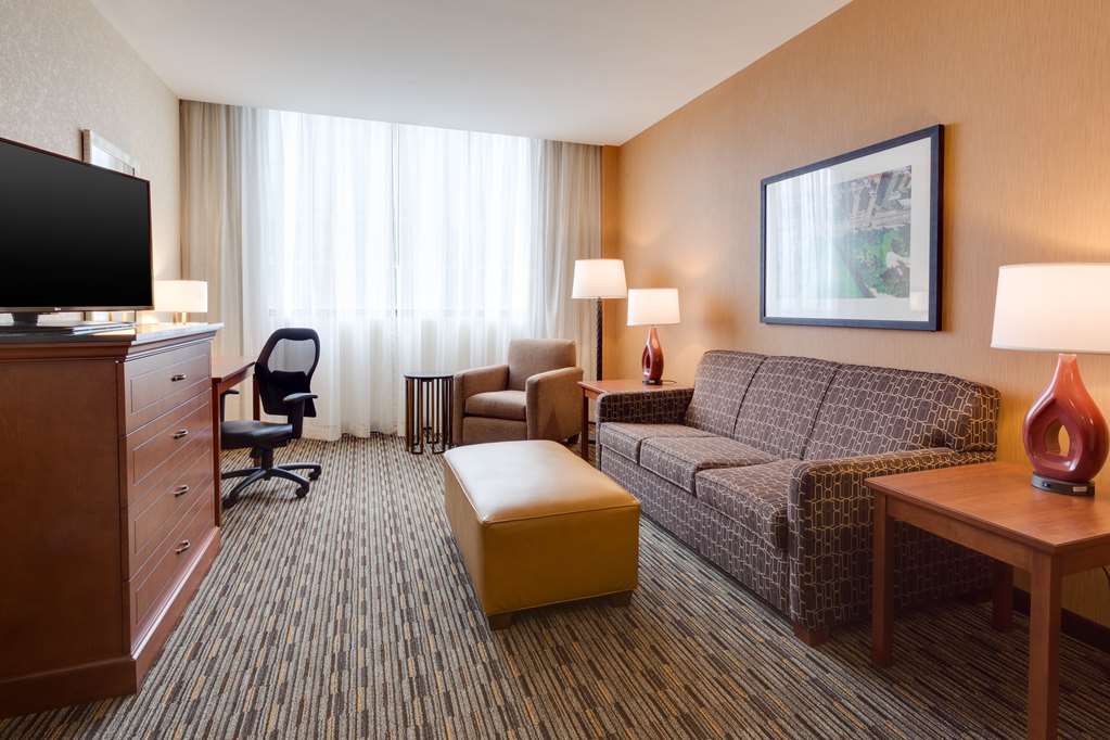 Drury Plaza Hotel St. Louis at the Arch - photo 10