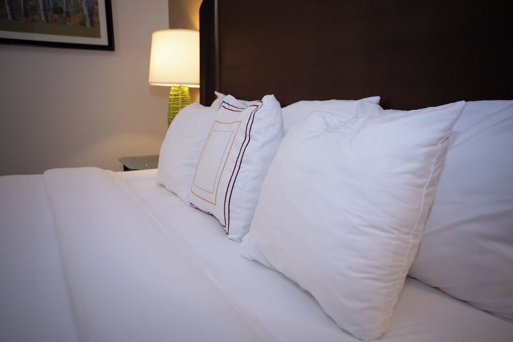 Alliance Hotel & Suites a Howard Johnson by Wyndham - photo 15