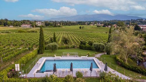Maria Farmhouse Apartment In Wine Resort In Lucca — Lucca