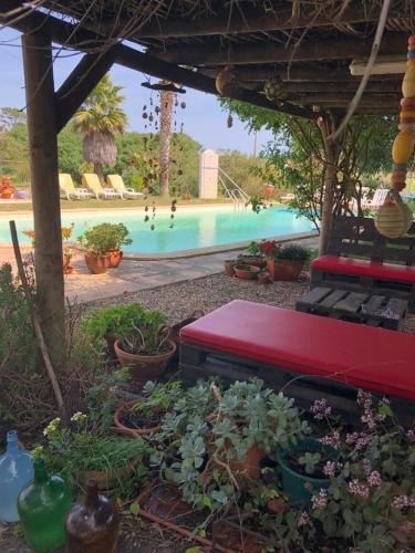 Monte Novo da Longueira Turismo Rural pet-friendly hotel Almograve