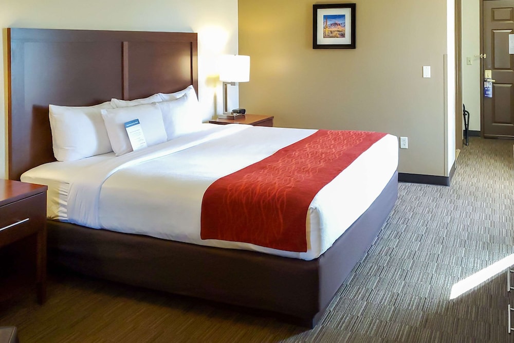 City Express by Marriott Tempe - photo 36