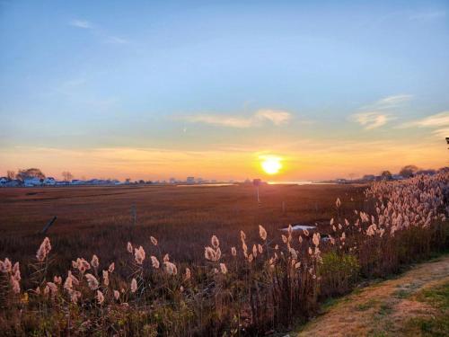 Great Hammock Getaway — hotel in Old Saybrook
