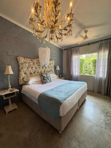 Chocolate Orchid in White River, South Africa