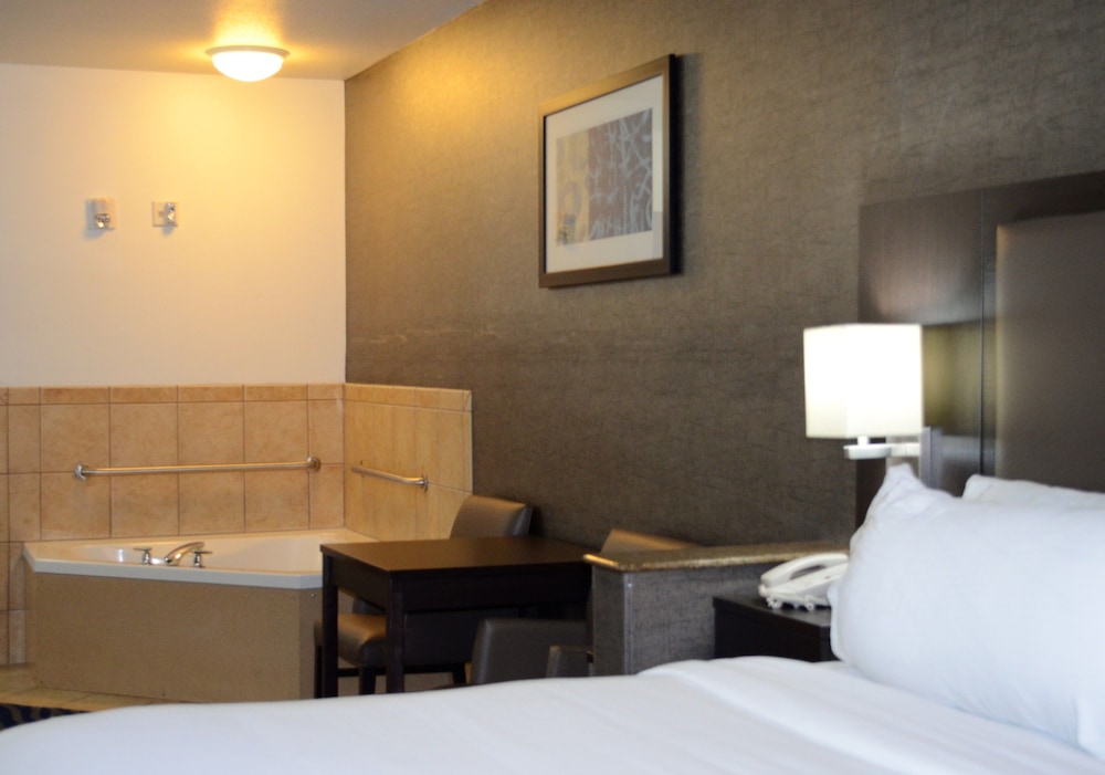 Holiday Inn Express Hotel & Suites Barstow Outlet Center an IHG Hotel - photo 5