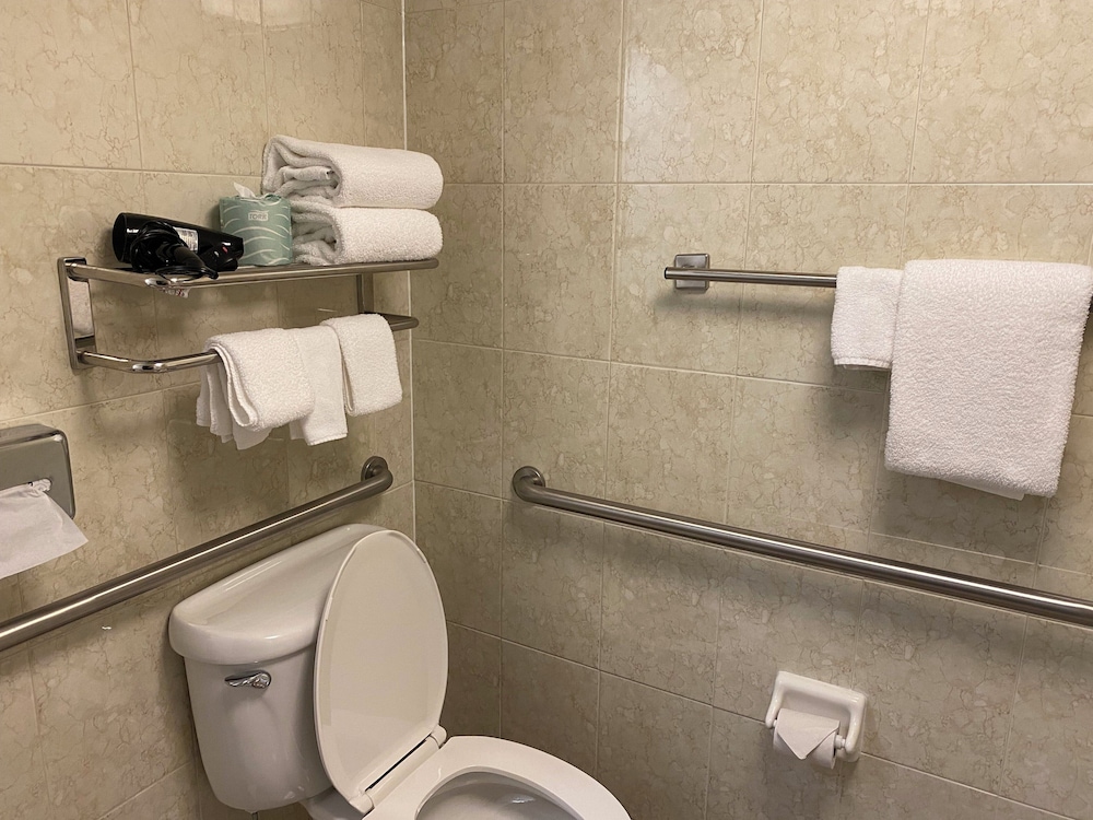 Hotel Indigo Detroit North Troy by IHG - photo 9