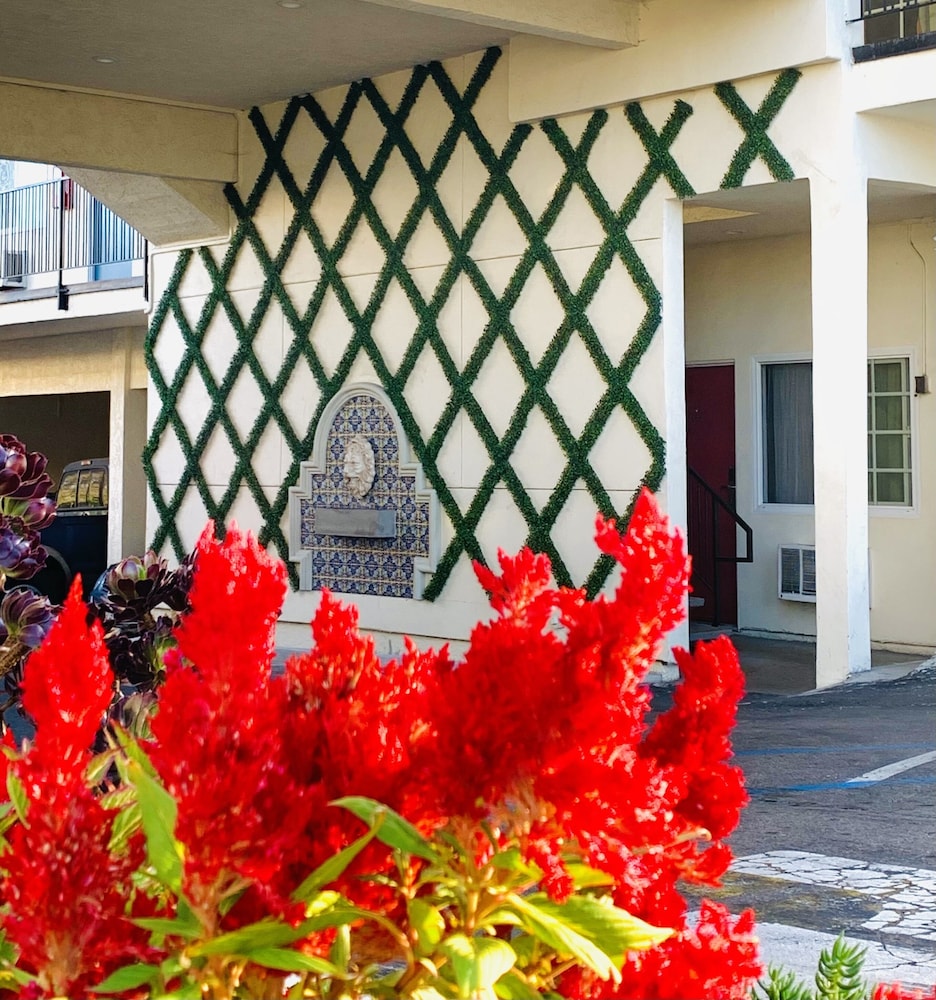 Hotel Villa Serena - photo 52