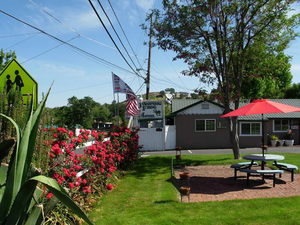 Jumping Frog Motel - photo 52