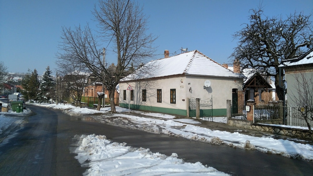 Wine and Relax in Wineregion 1751 in Tata, Hungary