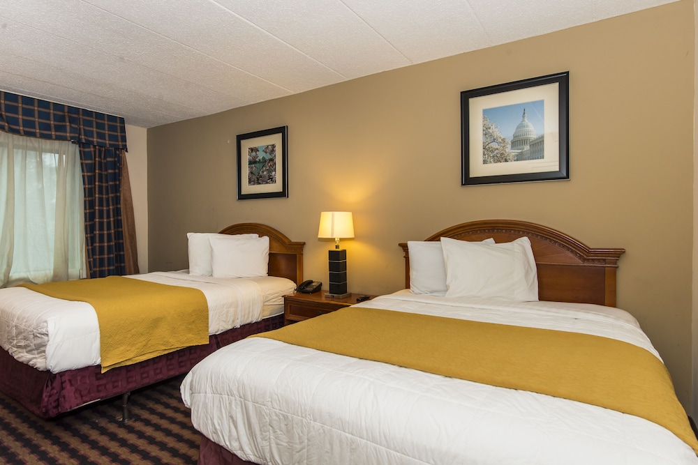 Garden Inn - photo 4