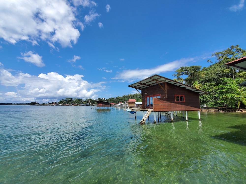 The Sea Monkey in Bastimentos, Panama