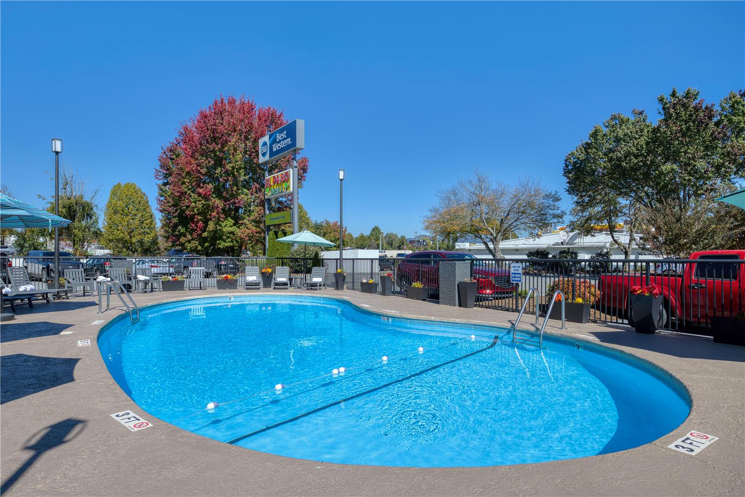 Best Western Hendersonville Inn - photo 28