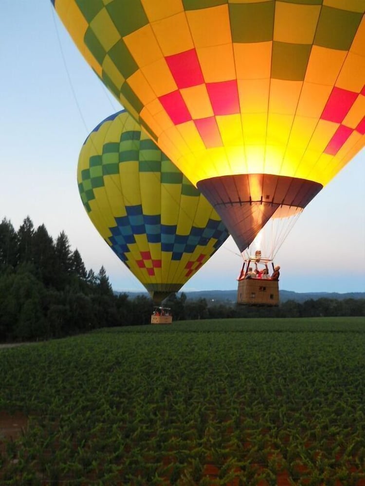 Hilton Garden Inn Sonoma County Airport - photo 24