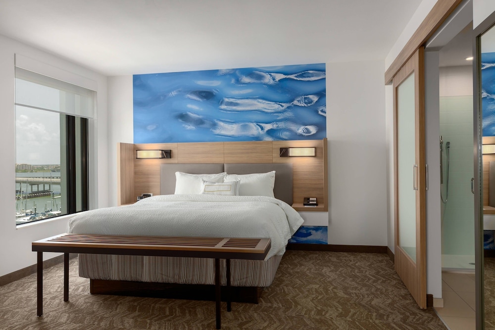 SpringHill Suites by Marriott Bradenton Downtown Riverfront - photo 9