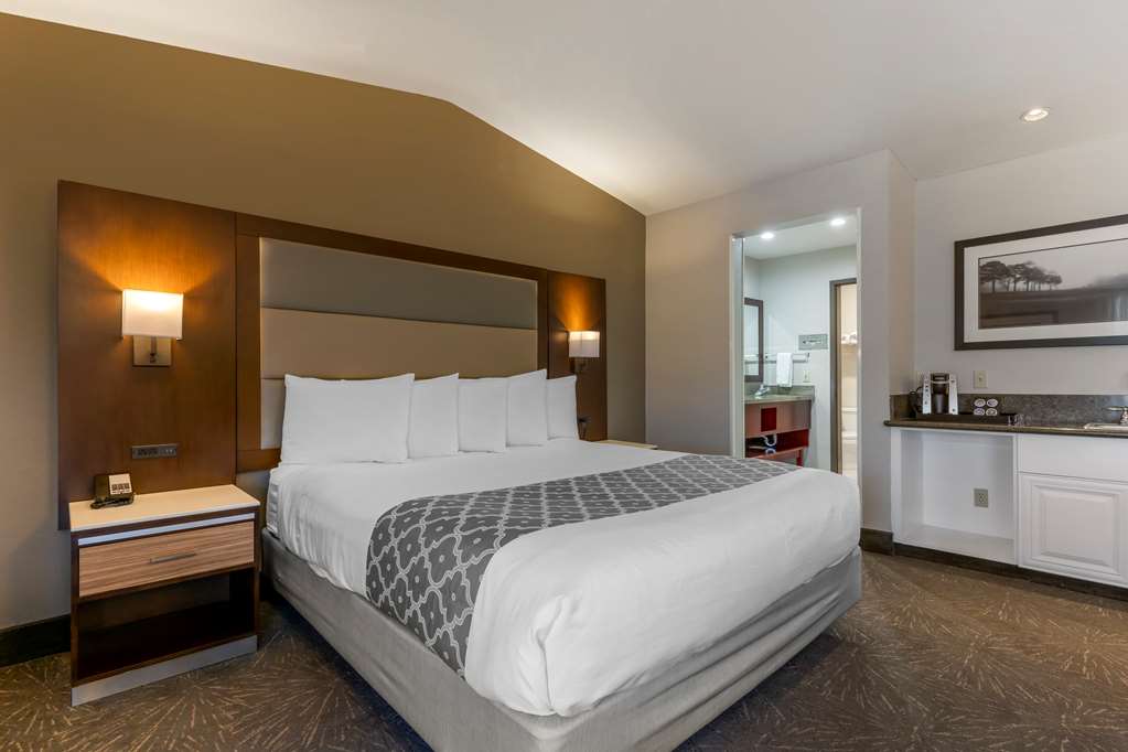 Best Western Plus Forest Park Inn - photo 46