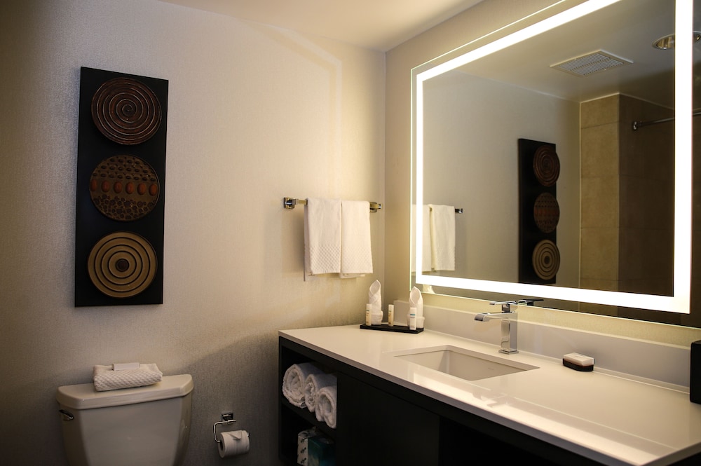 Embassy Suites by Hilton Houston Energy Corridor - photo 21
