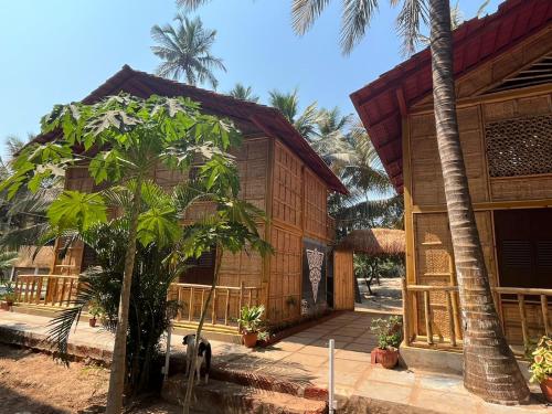 Syl Resort — Arambol — photo 2