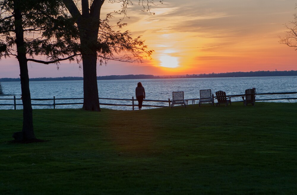 Great Oak Manor - photo 84