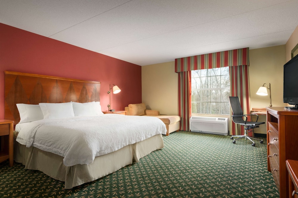 Hampton Inn & Suites Williamsburg Central - photo 13