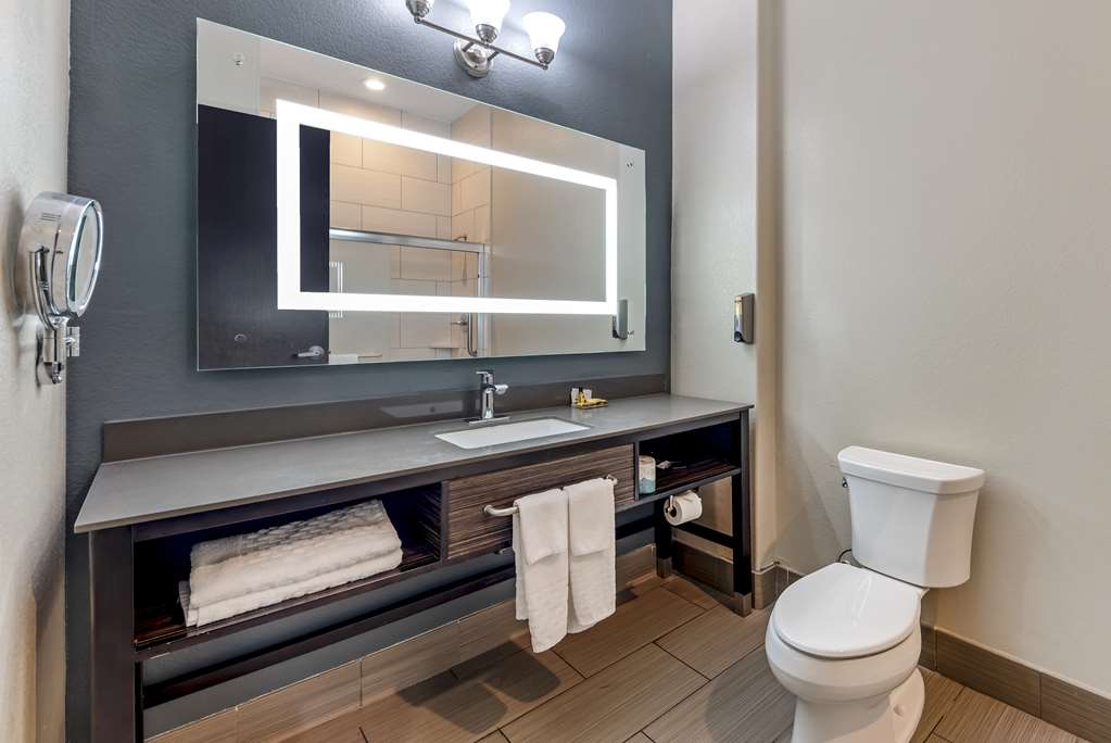 Best Western Plus Pflugerville - photo 14