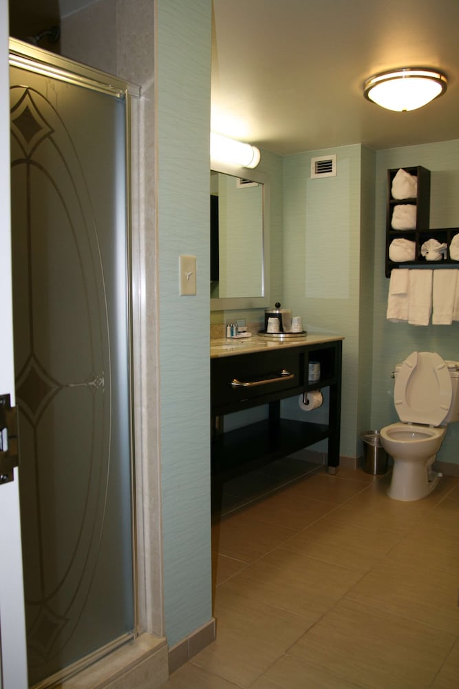 Hampton Inn Shreveport Airport - photo 70