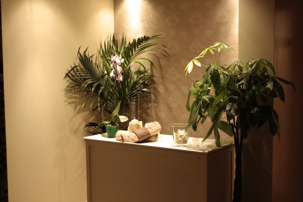 Hotel Donatella — Cervia — photo 2