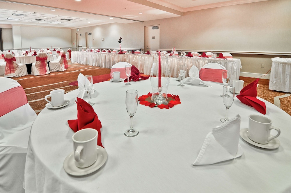 Hilton Garden Inn Tampa North Busch Gardens - photo 41