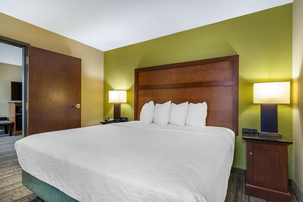 Best Western Plus Houston Energy Corridor - photo 23