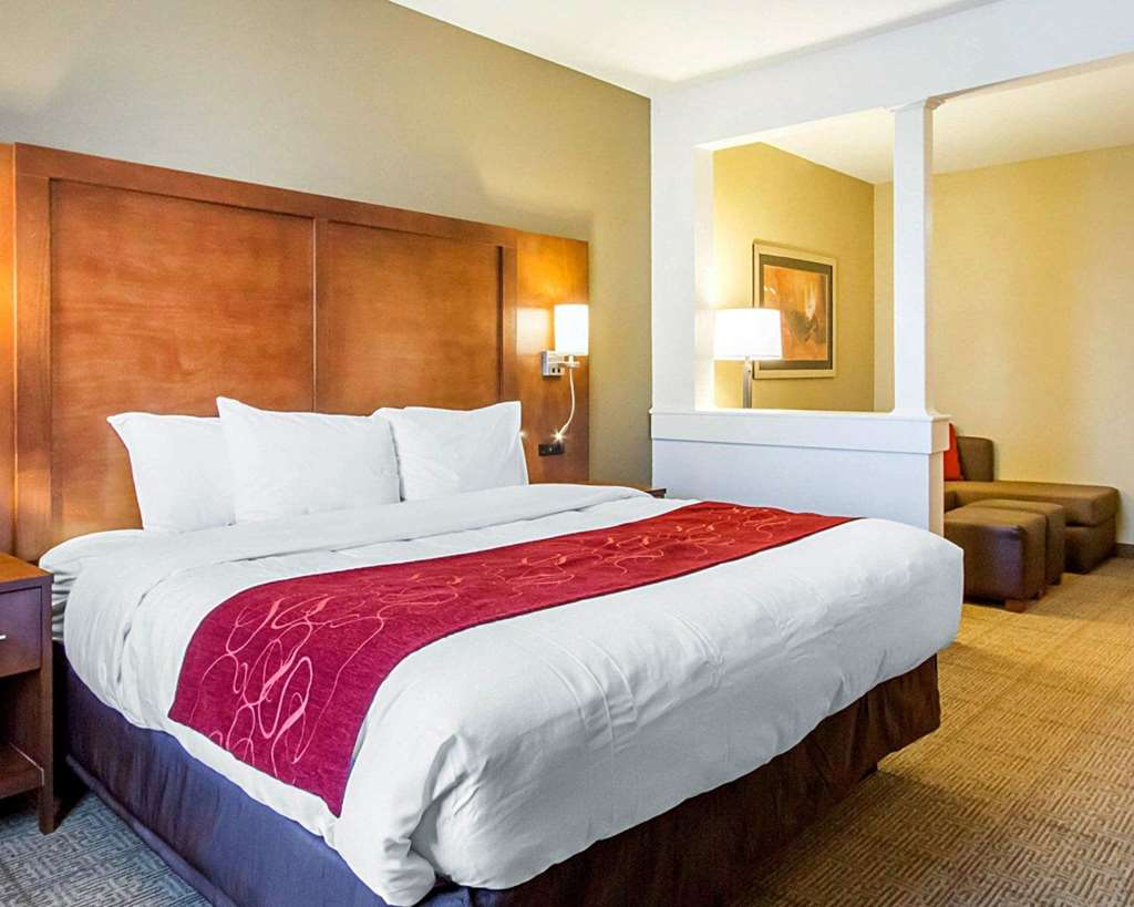 Comfort Suites Abilene Central - photo 18