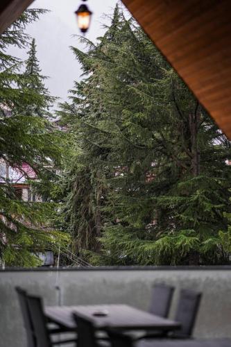 1 Hotel Borjomi