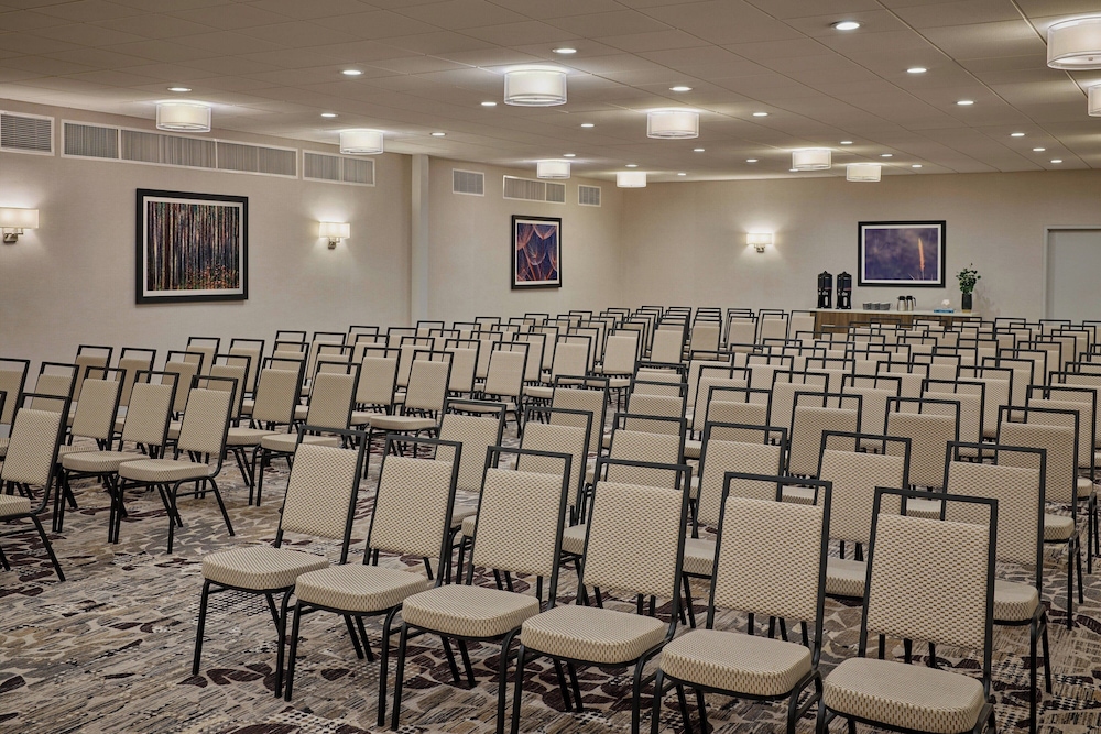 Delta Hotels by Marriott Chicago Willowbrook - photo 18