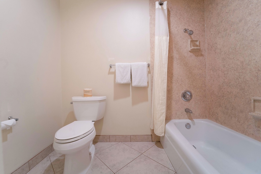 Royal Plaza Inn Indio - photo 76