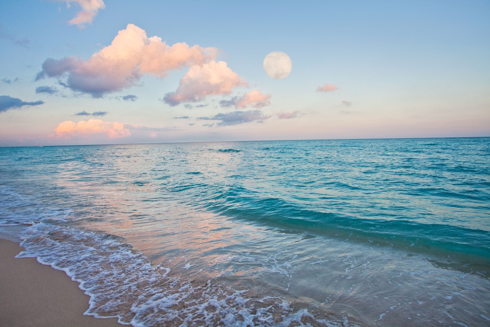 Holiday Inn Miami Beach Oceanfront by IHG - photo 65