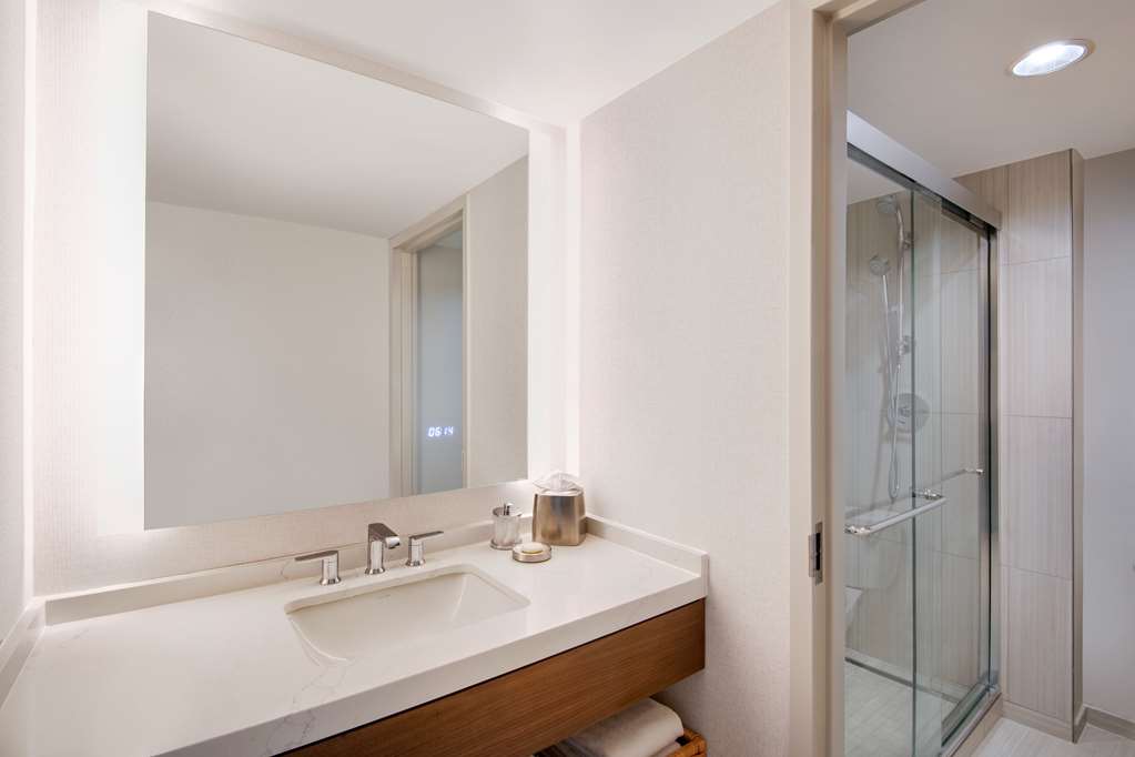 Hyatt Regency Dulles International Airport - photo 6