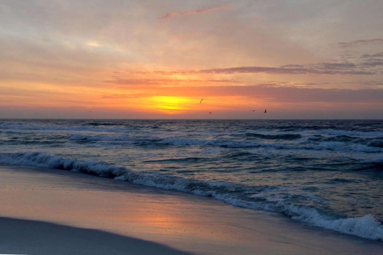 Commodore 206 - carbon neutral hotel in Panama City Beach