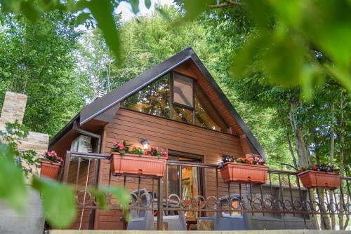 Mountain harmony Lovćen in Cetinje, Montenegro
