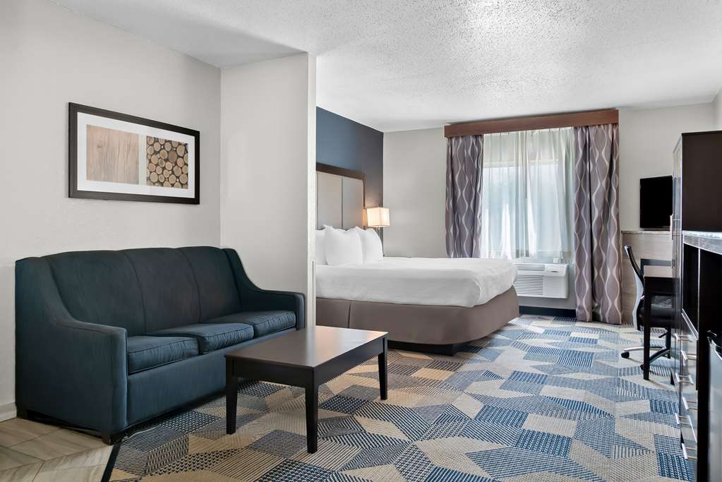 Best Western Plus Flint Airport Inn & Suites - photo 12