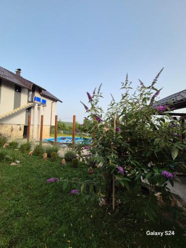Vikendica Semizovac pool and relax - last minute hotel in Unknown City