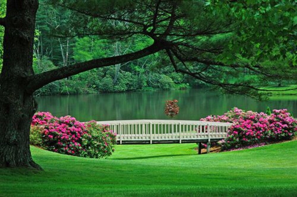 Bob Timberlake Inn at Chetola Resort - photo 45