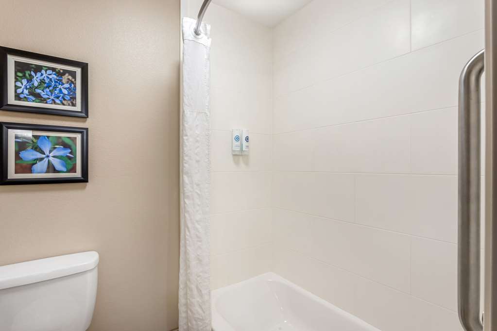 Comfort Inn & Suites Conway - photo 16
