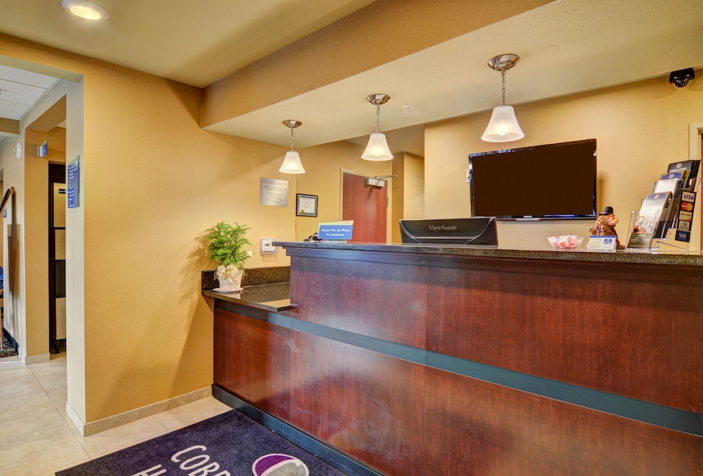 Cobblestone Inn & Suites Ambridge - photo 4