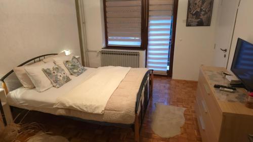 Evergreen in Banja Luka, Bosnia and Herzegovina